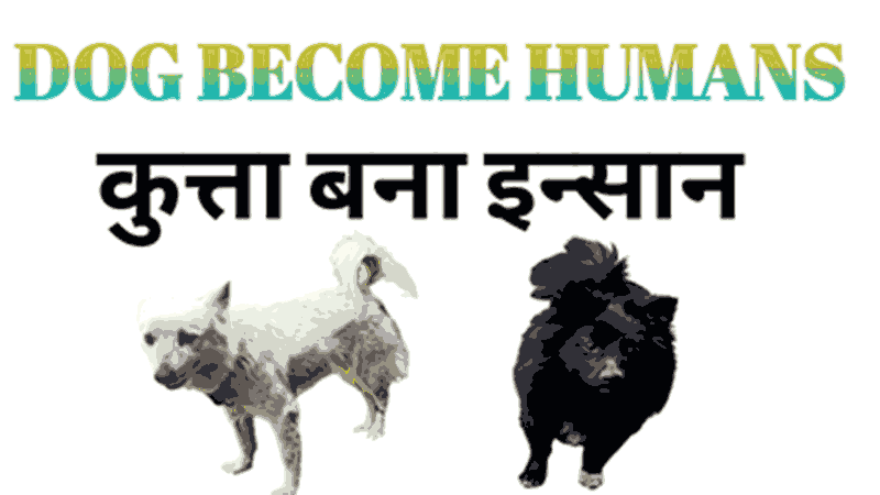कुत्ता बना इन्सान DOG BECOME HUMANS