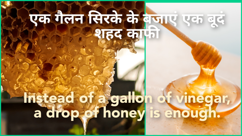 एक गैलन सिरके के बजाएं एक बूदं शहद काफी । Instead of a gallon of vinegar, a drop of honey is enough.